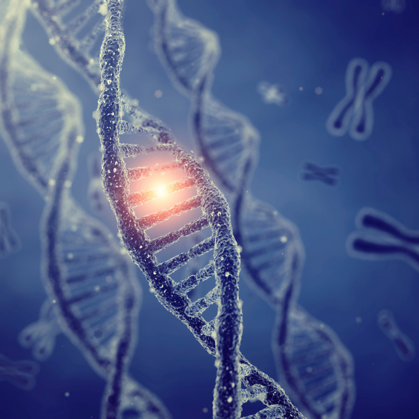 Genetic Testing/Interpretation